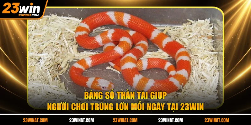 Bảng số thần tài giúp người chơi trúng lớn mỗi ngày tại 23WIN
