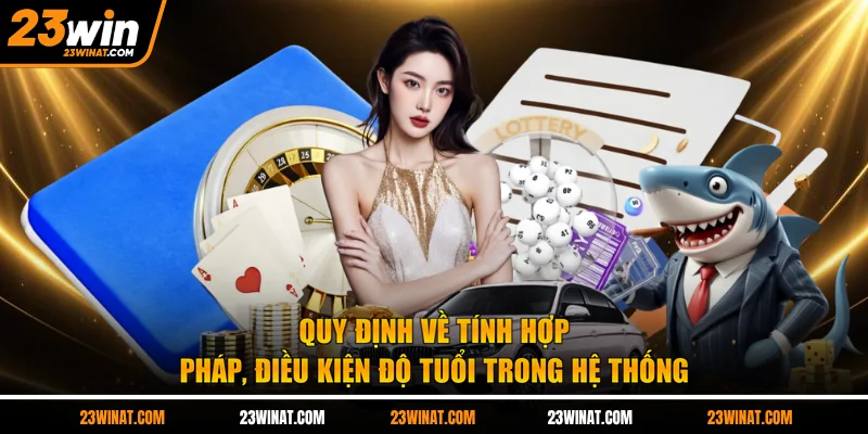 Quy định về tính hợp pháp, điều kiện độ tuổi trong hệ thống
